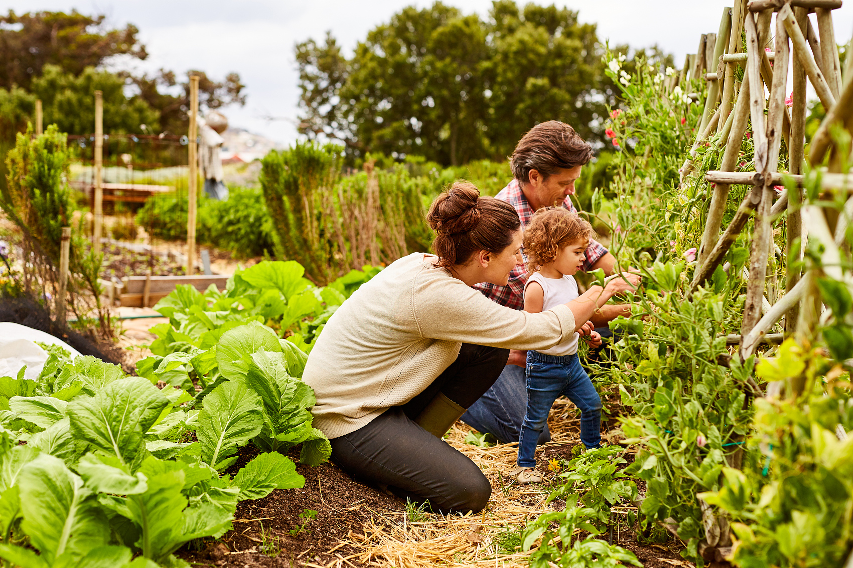 WHY YOU SHOULD START EATING ORGANICALLY